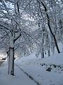 Neve (29)